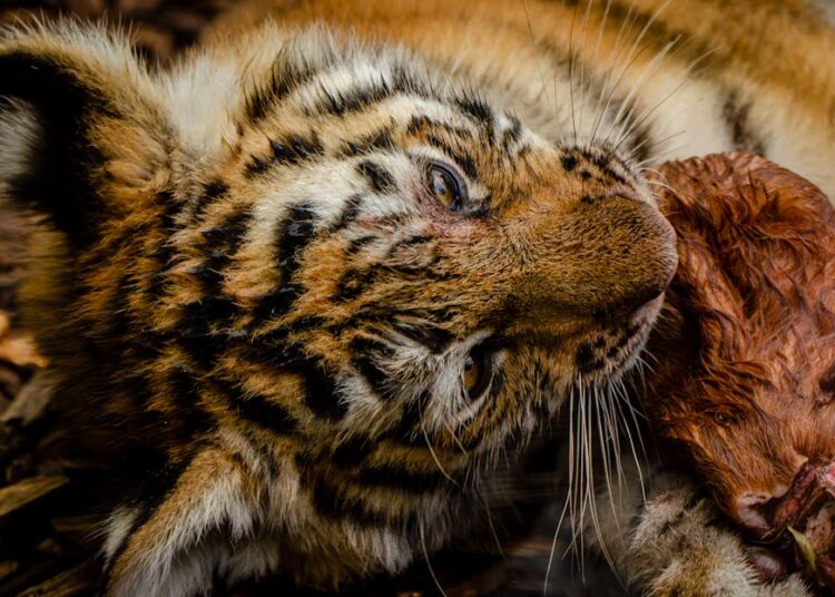 10 Amazing Findings in Modern Science That Will Blow Your Mind