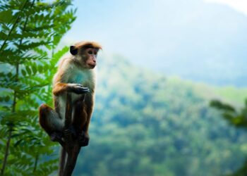 7 Odd Living Trends You Won't Believe Exist