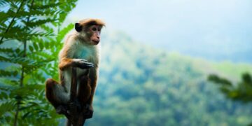 7 Odd Living Trends You Won't Believe Exist