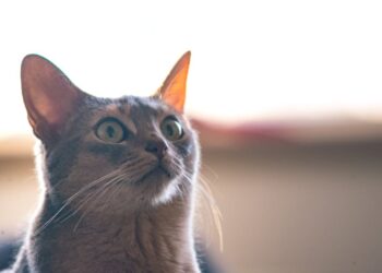 10 Curious Lifestyle Facts That Will Blow Your Mind