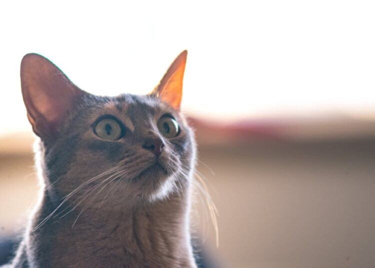 10 Curious Lifestyle Facts That Will Blow Your Mind