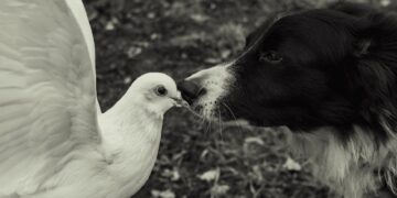 Curiosity Driven Education Explained: 7 Key Principles You Need to Know