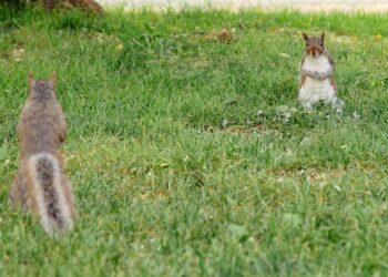 Unlock the Power of Your Mind: 10 Strategies for Enhanced Curiosity Learning