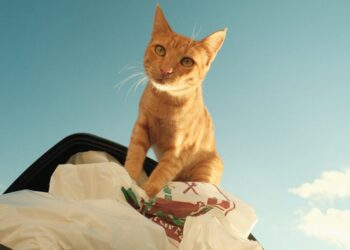 10 Curiosity Learning Activities That Every Student Will Love