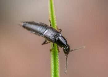 10 Incredible Discoveries That Changed History Forever