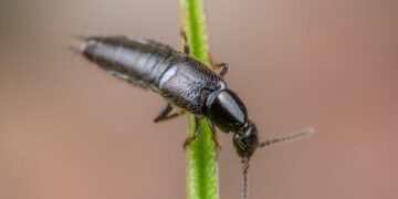 10 Incredible Discoveries That Changed History Forever